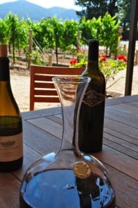 Decanter of wine with bottles and vineyards in the background