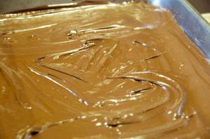melted chocolate chips
