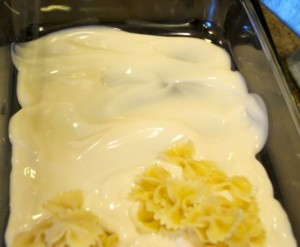 start with alfredo base
