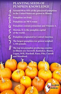 Pumpkin Puree Facts