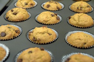 baked pumpkin chocolate chip muffins