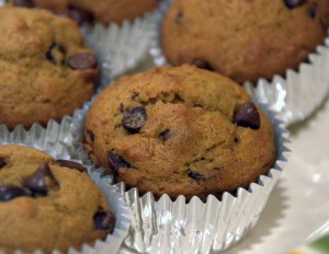 Pumpkin Chocolate Chip Muffins Pumpkin Chocolate Chip Muffins