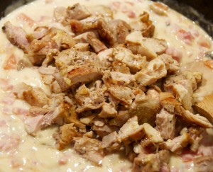 Chicken and alfredo sauce