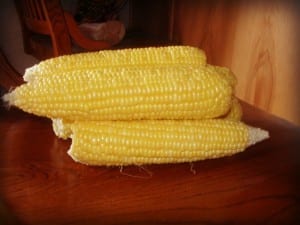 ears of sweet corn