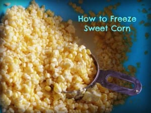 How to freeze sweet corn