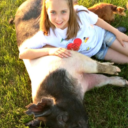 What Does Agriculture Look Like to You? Celebrating FFA Week