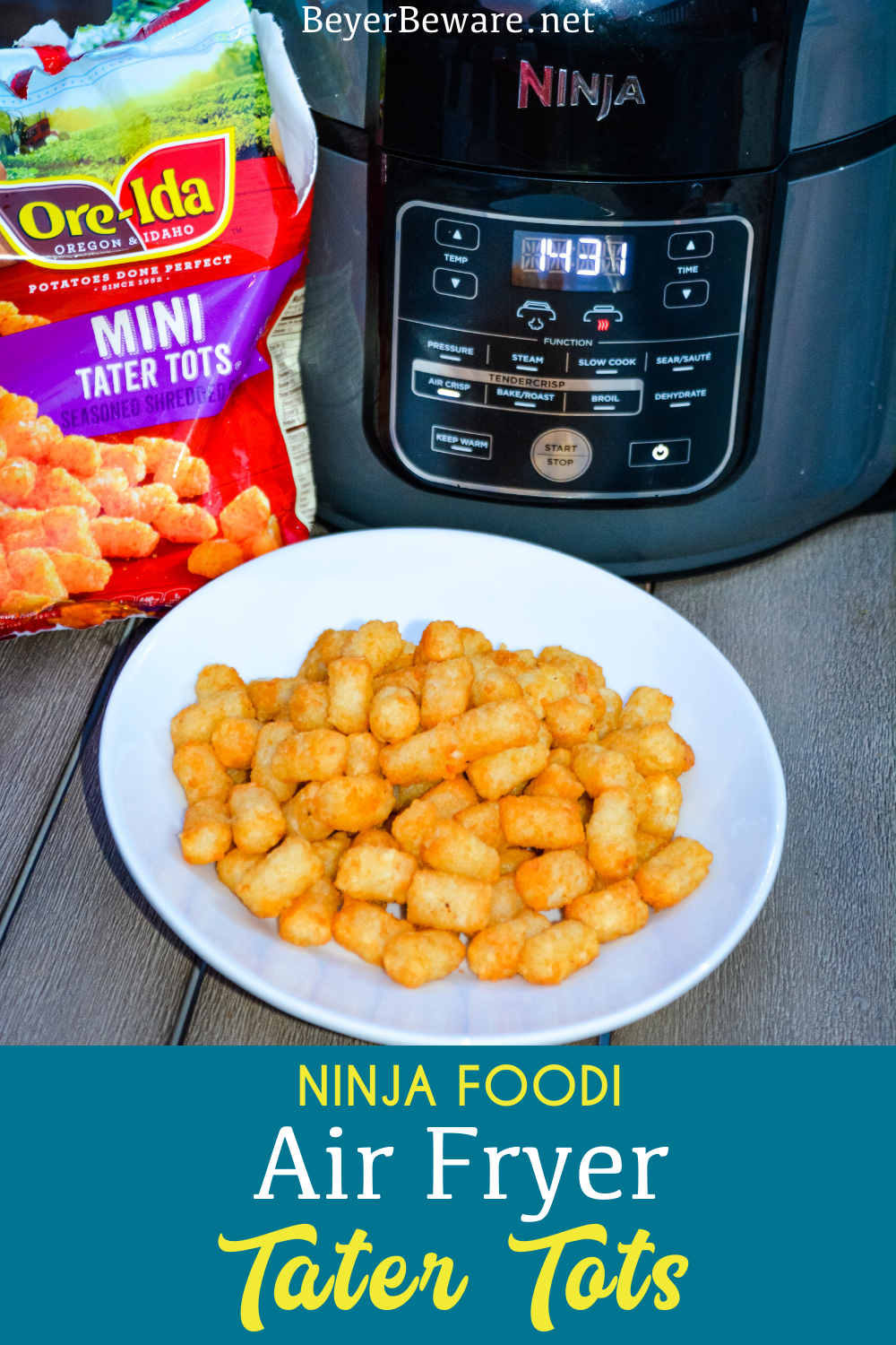 Ninja Foodi Air Fryer Tater Tots - Beyer Eats and Drinks