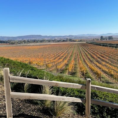 View from the deck at Gloria Ferrer Winery